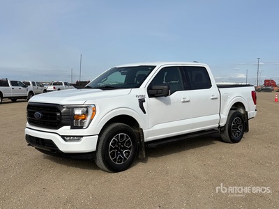 2021 Ford F-150 XLT 4x4 Crew Cab بيك اب