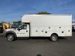 General Appearance with Paint