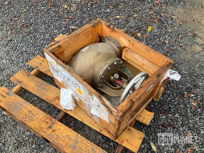 803-1385541-061 Globe Valve