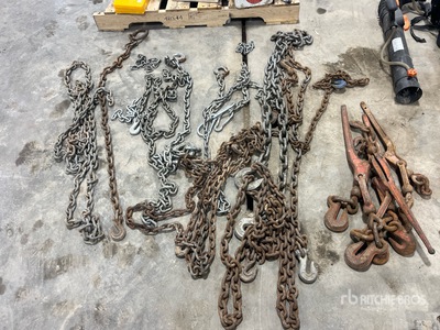 Quantity of Chains & Boomers