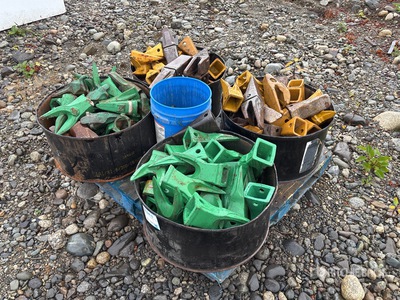 Quantity of Teeth