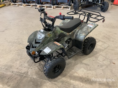 2021 Tao Tao ATA-11-B 4x2 ATV (Unused)