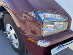 General Appearance with Paint