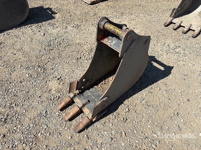 Cat 11 in Digging Excavator Bucket