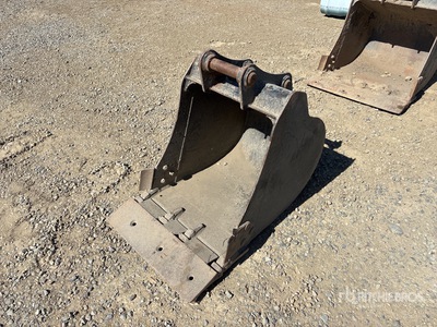 Cat 22 in Digging Excavator Bucket