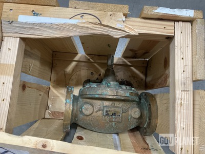 (2) CLA-VAL 10315A Check Valves