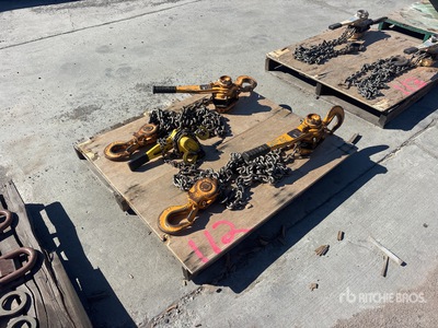 Quantity of (2) 6 Ton Chain Come Alongs Varios, tienda, almacen, consumidor
