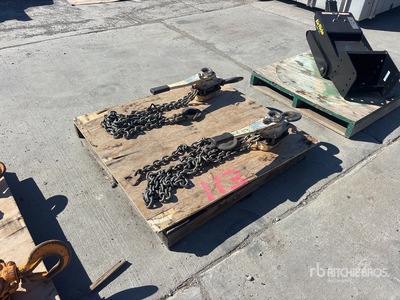 Quantity of (2) 3 Ton Chain Come Alongs Varios, tienda, almacen, consumidor