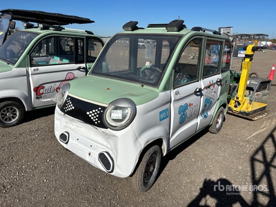2024 Raccoon RC-G100 Utility Cart