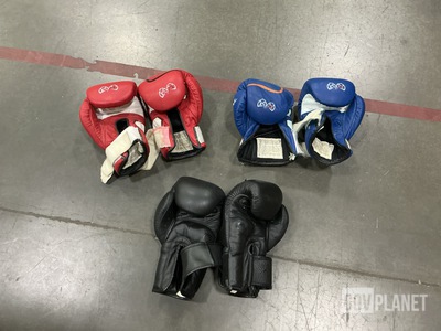 (40) Pairs of Assorted Boxing Gloves