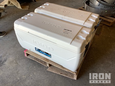 Quantity of (2) Igloo 150 qt Coolers