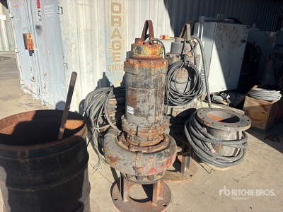 Quantity of (2) Ebarra Sewage Lift Station Pumps