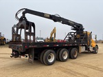 Picture, Right Rear Corner