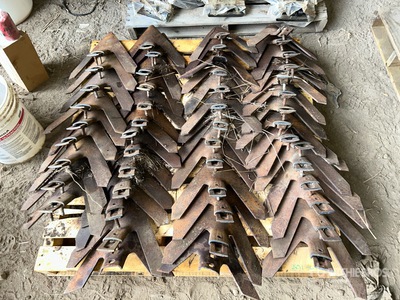 Quantity of (50) Cultivator Shovels 14 in
