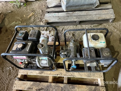 Quantity of (2) Eagle EG200 Waterpomp