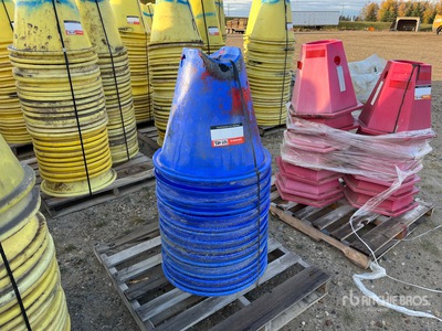 Quantity of (16) Pipeline Cones