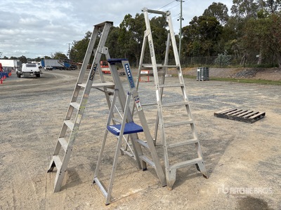 Quantity of (3) Ladder