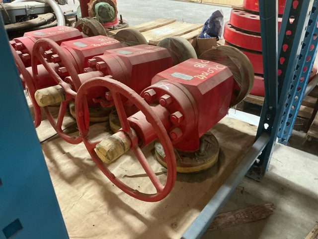 RK-3-1/8x5M Check Valve