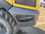 General Appearance with Pintura