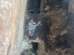 Undercarriage with Drehachsen