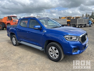 2019 LDV T60 4x4 Dual Cab Pickup