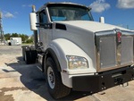 General Appearance with Paint