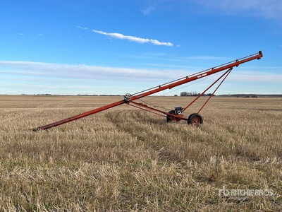 Sakundiak 6 in x 36 ft مسمار الحبوب