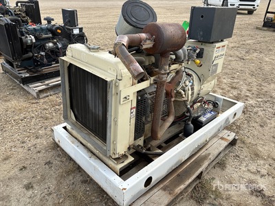 Blue Star GM25-02 25 kW Skid-Mounted Generator Set