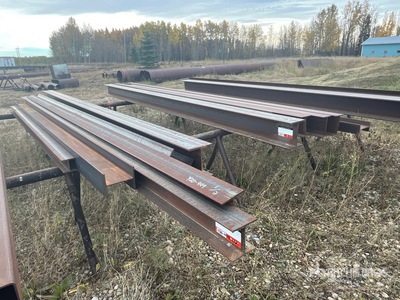 Quantity of (12) I-Beams Telaio in metallo