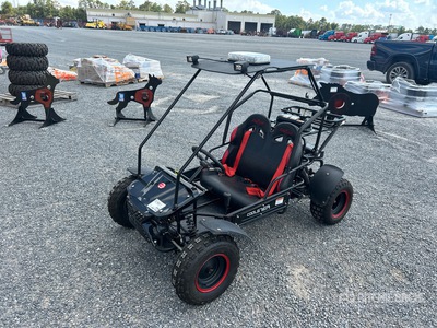 2021 Zhejian Qiye Scooter Coolster Challenger Go Cart