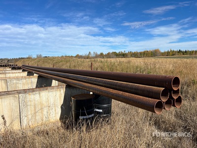 Quantity of (10) 6 in Pipe