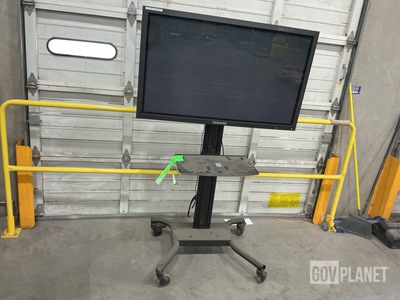 Samsung P50HP Plasma Display w/Peerless SR1M Display Mount