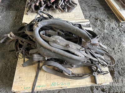 Quantity of Horse Harness Attrezzatura agricola varia
