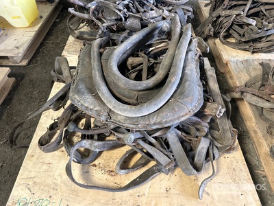 Quantity of Horse Harness Attrezzatura agricola varia