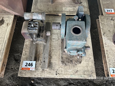 Quantity of (2) Motore