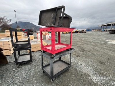 Quantity of (3) Shop Carts