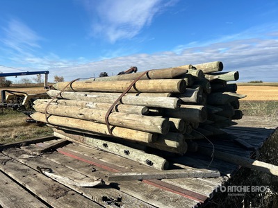 Quantity of Wood Fence Posts Varios, tienda, almacen, consumidor