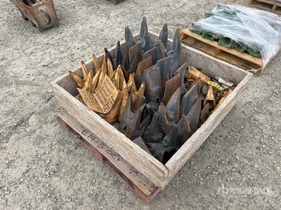 Quantity of Cat Dente
