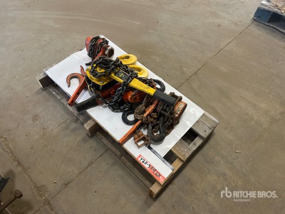 Quantity of (4) Material Hoist