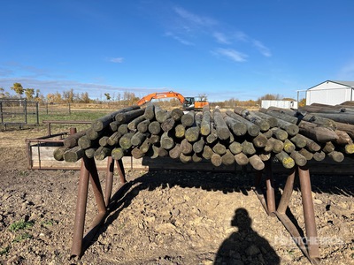 Quantity of 6 ft Fence Posts Varios, tienda, almacen, consumidor
