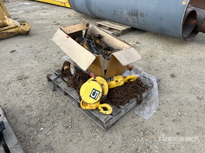 Quantity of Chain Hoists