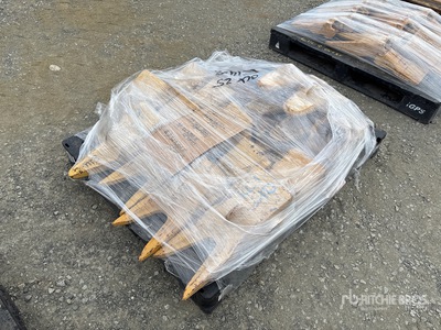 Quantity of Dente