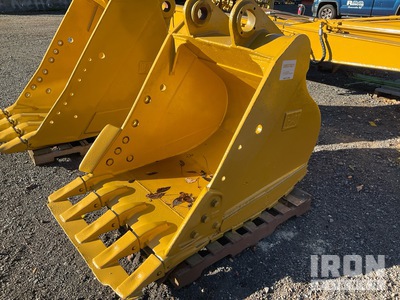 Cat 42 in Digging Excavator Bucket