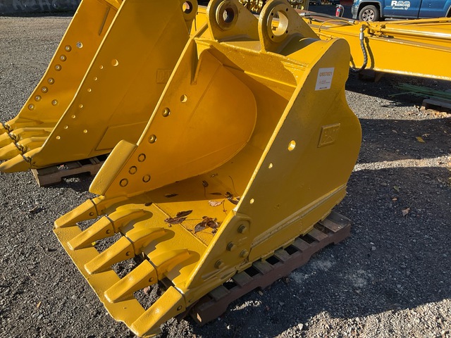 Cat 42 in Digging Excavator Bucket