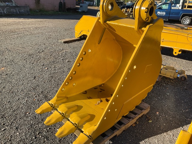 Cat 36 in Digging Excavator Bucket