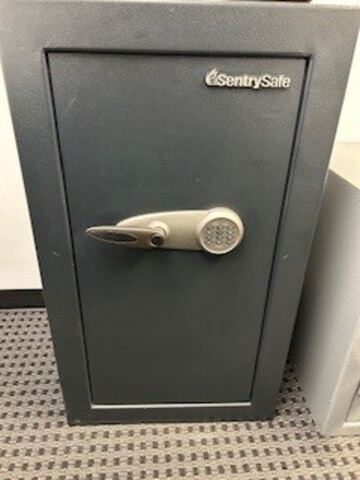 Sentry TO-331 Safe