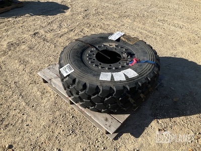 Michelin 365/80R20 Tire w/Wheel