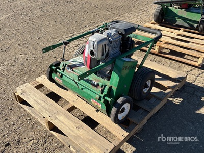 Bannerman 20 in Dethatcher Power Rake