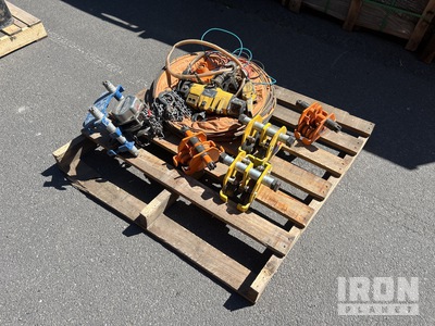 Quantity of Lifting Hoist & Trolley