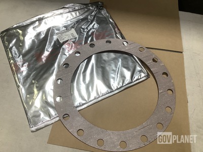 (13) Garlock 803-1385637-10X-21 Gaskets